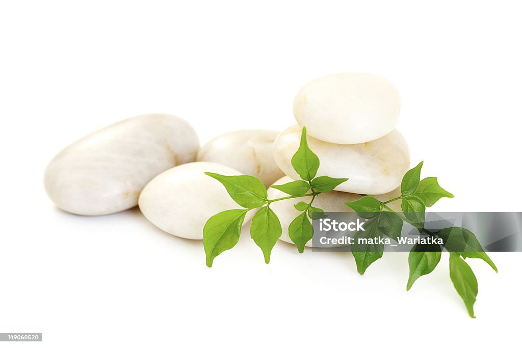 Piedras blancas con hojas - Foto de stock de Armonía - Concepto libre de derechos