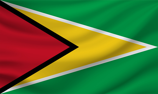 Guyana flag. Vector illustration. EPS10