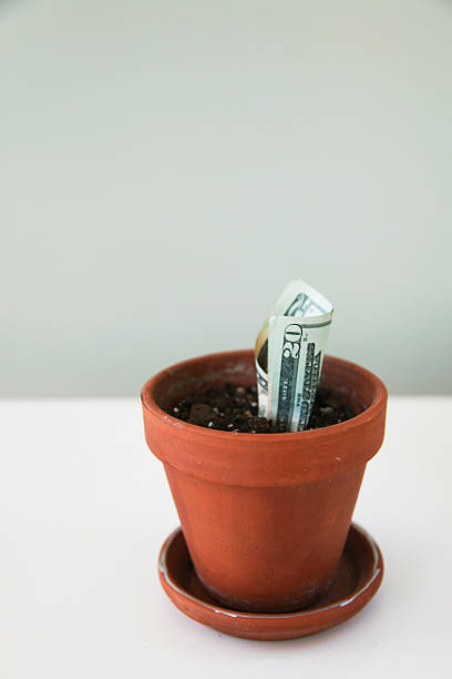 istock Money growing from flower pot 149060630