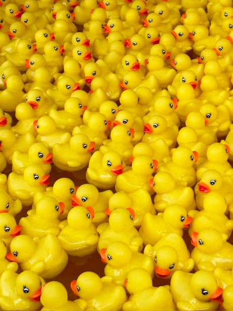 istock Full frame image of yellow, plastic duck floating on water surface of children's play pool, hook-a-duck fairground amusement game, elevated view, focus on foreground 1490606376