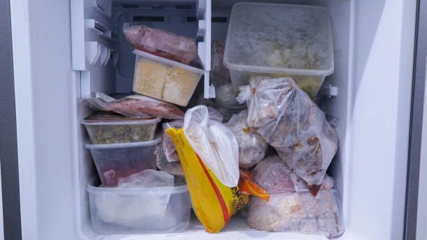 istock fridge full of frozen food 1490606775