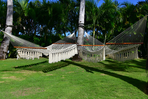 Obyan, Saipan, Northern Mariana Islands: lawn and pair of hammocks with fringe tassels, hanging from coconut palm trees.