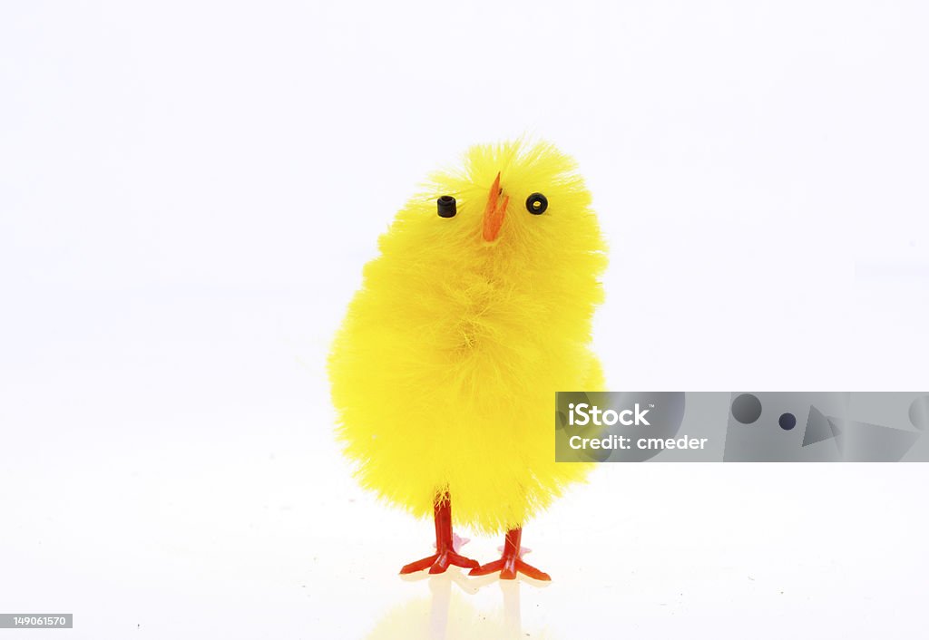 Easter chickens an easter chicken isolated against white background Animal Stock Photo