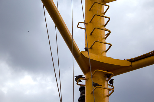 Yellow iron boat rungs and birds