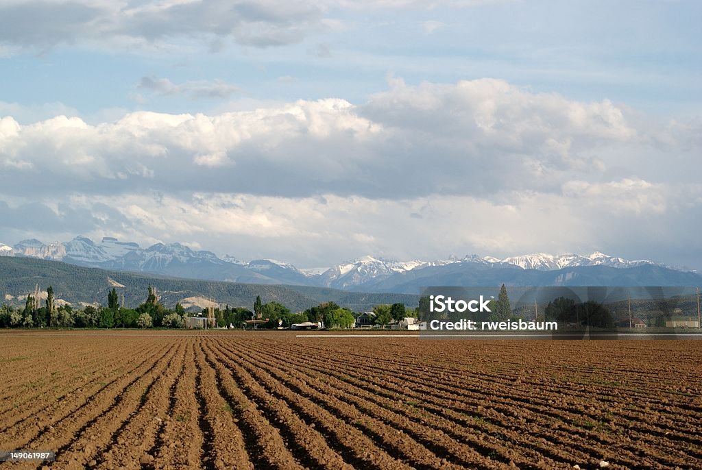 san juan mountains The beautiful mountains in Montrose, Colorado. Nicely nestled in the background of this farm field. Colorado Stock Photo