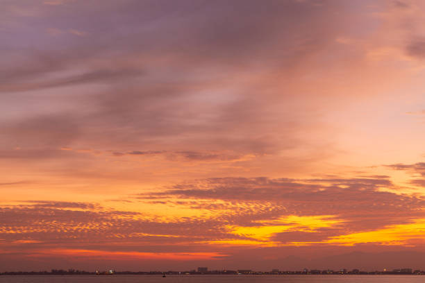 istock Pink and purple colour sky at sunset and sunrise 1490620946