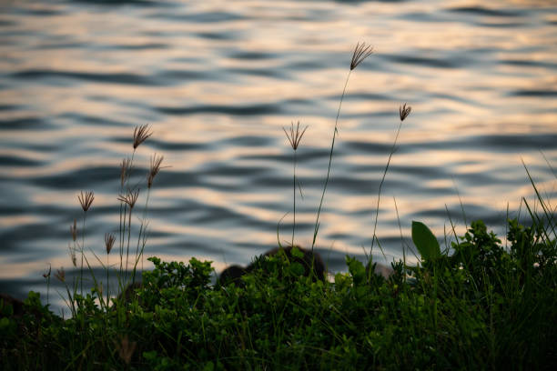 Abstract seawater reflection during sunrise and sunset moment.  Colourful water reflection. Contented Emotion