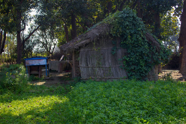 A water pump hut made of big cordgrass. I took this photo on feb. 2021