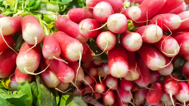 istock Radish, piled high, washed an£ ready to eat on market stall. 1490623659