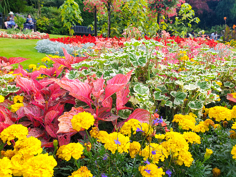 Beautiful Public Gardens , full of brightly coloured flowers and well kept lawns a tranquil spot with benches for people to relax on and enjoy the view.