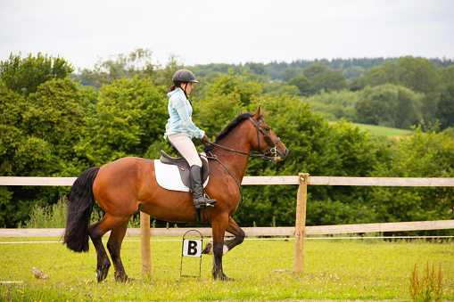 Pretty young female rider schools her bay horse in dressage outdoors in English countryside, preparing the horse for competitions in dressage.