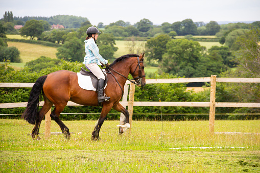 Pretty young female rider schools her bay horse in dressage outdoors in English countryside, preparing the horse for competitions in dressage.