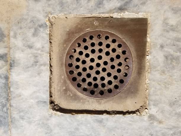 istock Steel floor trap, cockroach trap 1490624669