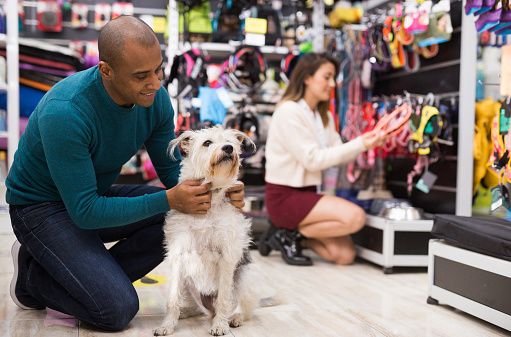 Portrait of emotional man hugging dog while shopping in pet store