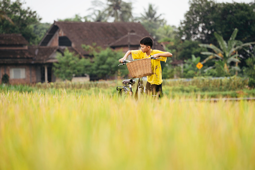 Carrying Bicycle On Farm