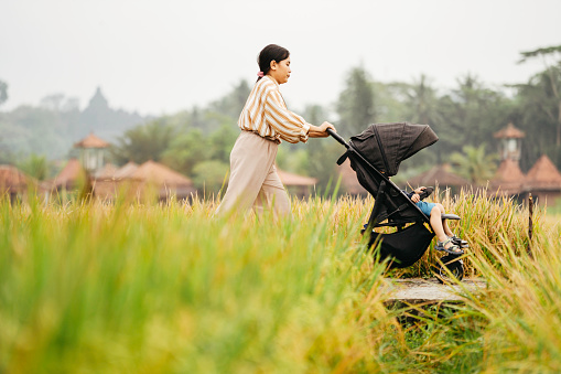 asian woman carrying her son with stroller on the rice field