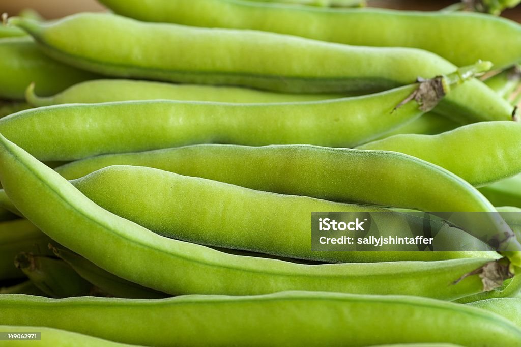 Frisch gepflückte fava-Bohnen - Lizenzfrei Fotografie Stock-Foto