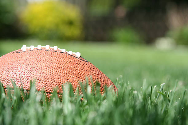 istock Football On The Field 149063039