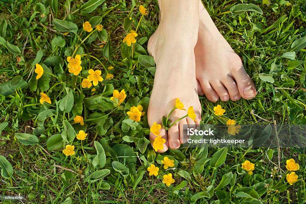 Donna di tenere il piede nella vegetazione di fresca primavera - Foto stock royalty-free di Scalzo