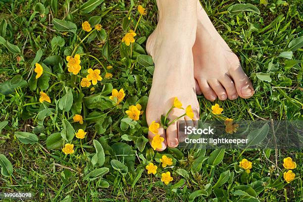 Donna Di Tenere Il Piede Nella Vegetazione Di Fresca Primavera - Fotografie stock e altre immagini di Scalzo