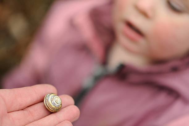 Child looks at snail stock photo