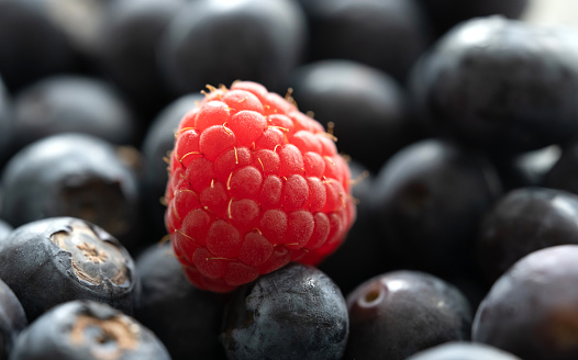 raspberry on a blueberries fresh harvest, macro shot