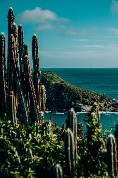 istock Beaches of Arraial do Cabo -RJ 1490632372