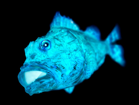 Dark deep sea, the figure of a deep-sea fish with turquoise blue body and glowing eyes and mouth.(Retouched and color manipulated photographic illustration)