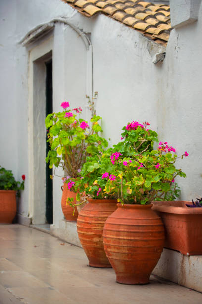 istock Greek street in Corfu 1490634007