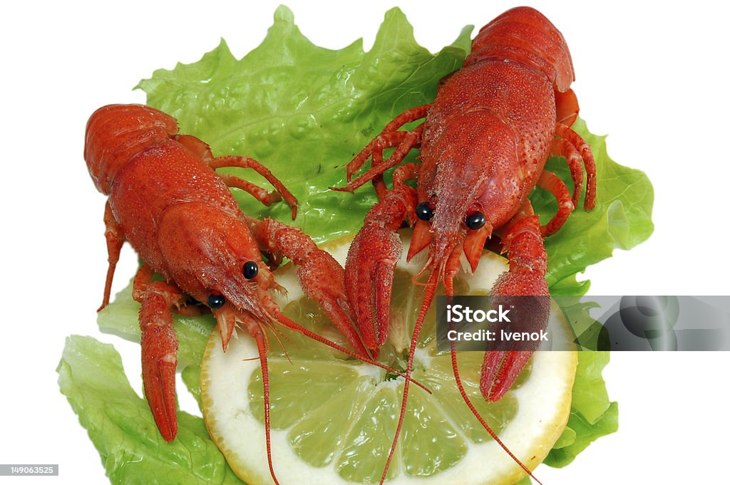 crayfishs cozido sobre alface e limão - Foto de stock de Alface royalty-free