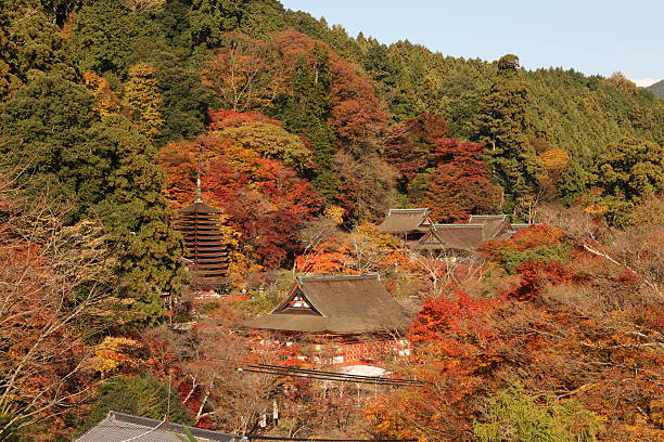 istock Autumn tint of Nara 149063552