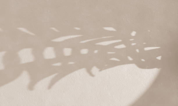 istock Palm leaves shadow on beige background. Summer architecture aesthetic. Modern tropical mockup design. Sunlight blank scene on concrete wall. Brown cream grunge cement texture 1490636118