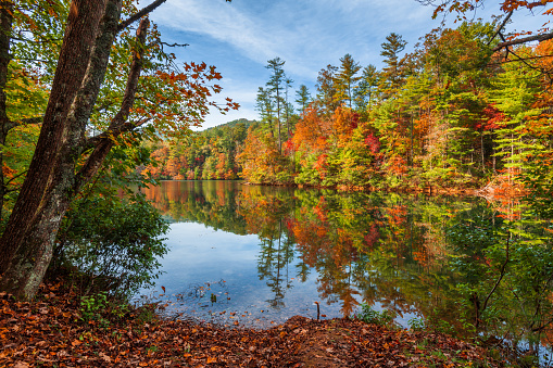 Lakeside fall foliage at Santeetlah Lake, North Carolina, USA.