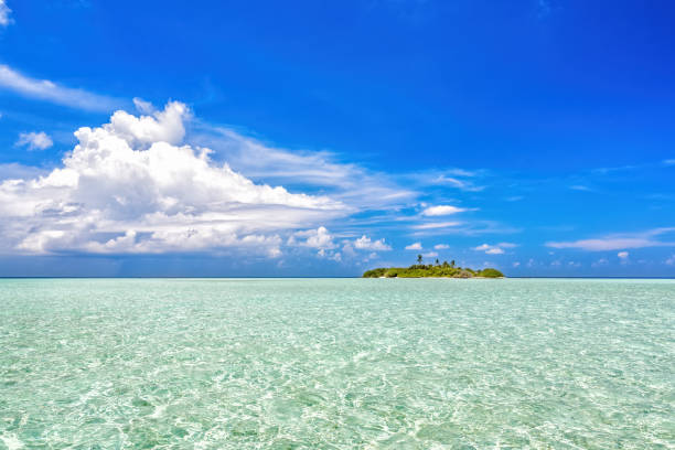 istock Beautiful sunny ocean landscape, Maldives 1490637515