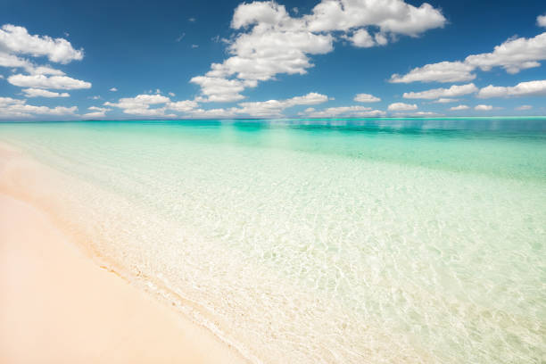istock Beautiful sunny ocean beach, Maldives 1490637527