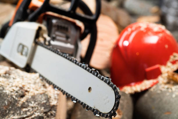 Modern chain saw and  firewood,closeup