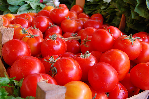 Tomatoes in a Crate stock photo