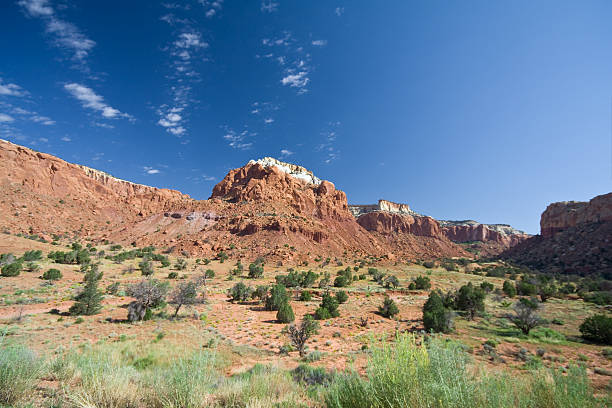 istock Red Sandstone Mesa Canyon Landscape Ghost Ranch Abiquiu New Mexico 149064306