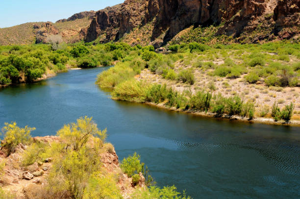 istock Salt River Recreation Area Arizona 1490644671