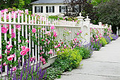 Garden Fence With Roses