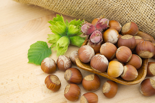Ripe brown hazelnuts and young hazelnuts with leafs beside the jute sack on a wooden table with copy space for text