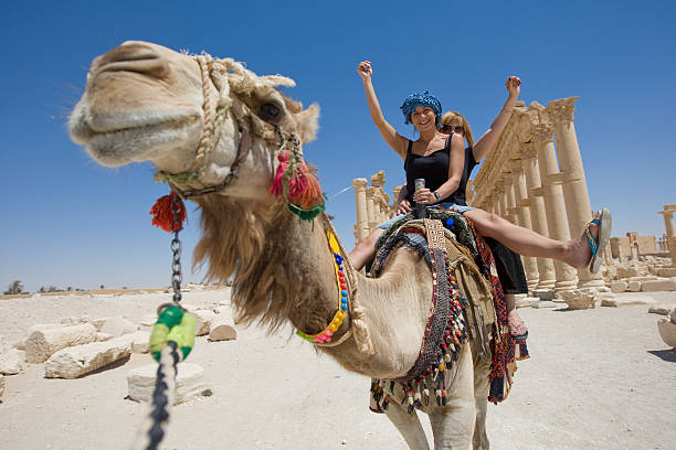 paseo en camello - camel ride fotografías e imágenes de stock