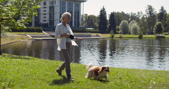 Elderly woman pensioner walk cavalier spaniel in park near lake. Full length view of active senior female with dog stroll in summer park