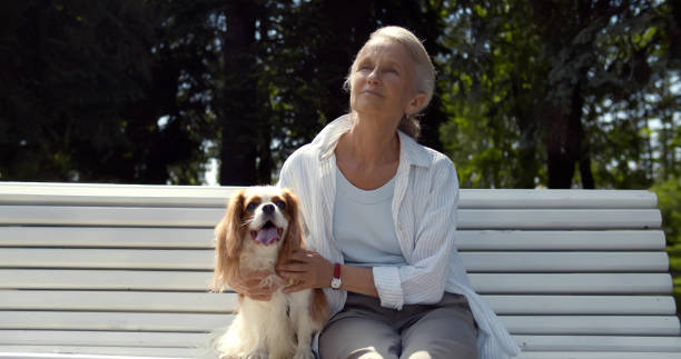 istock Senior woman sitting on bench with cavalier spaniel in park 1490651455