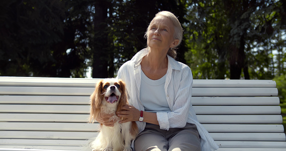 Senior woman sitting on bench with cavalier spaniel in park. Portrait of smiling aged lady resting on wooden bench with dog in summer park