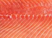 A piece of red fish in close-up. trout fillet, salmon.