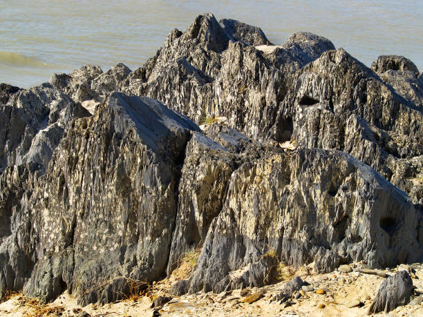 Weathered sandstone rocks on a beach. stock photo