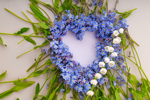 Composition of flowers for a postcard. Heart made of amazing spring forget-me-not flowers on grey background, top view. Springtime Forget-me-not flowers and Lily of the valley