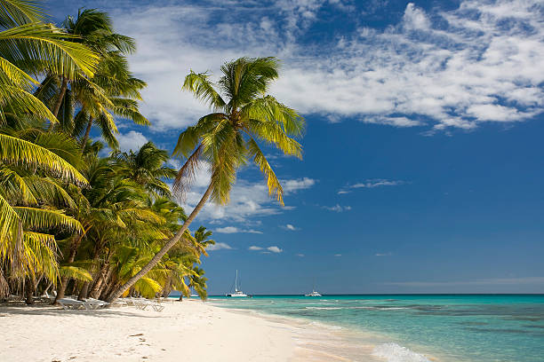 istock White Beach on Saona Island 149065853