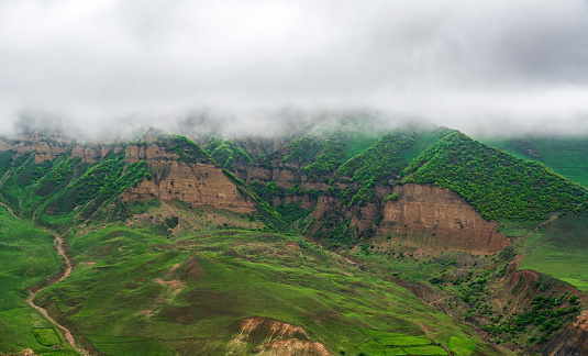 Foggy mountains covered with green forest landscape